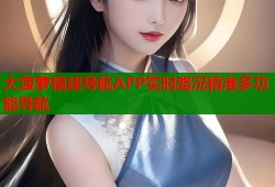 大菠萝福建导航APP实时路况精准多功能导航