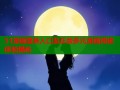 51漫画登录入口及正版多元漫画阅读体验揭秘